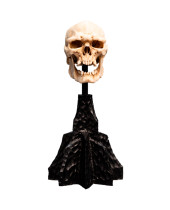 Lord of the Rings Miniature Skull of a Mordor Orc 15 cm
