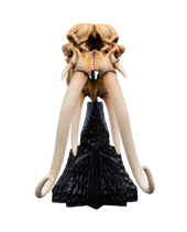 Lord of the Rings Miniature Skull of a Mumak 15 cm