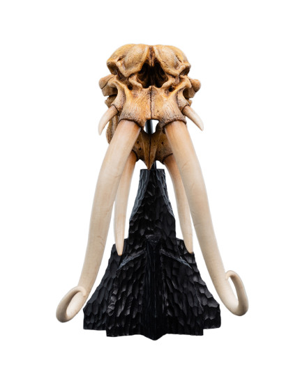 Lord of the Rings Miniature Skull of a Mumak 15 cm obrázok 1