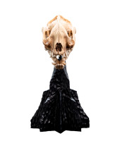 Lord of the Rings Miniature Skull of a Warg 20 cm