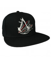 Assassins Creed Logo Snapback Cap