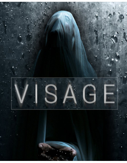 ESD Visage obrázok 1