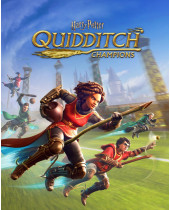 ESD Harry Potter Quidditch Champions